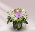Amore Çikolatalı Flowerbox içinde orkide ve mevsim çiçekleri