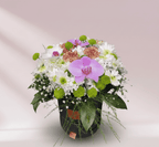Amore Çikolatalı Flowerbox içinde orkide ve mevsim çiçekleri