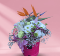 Starliçe çiçekleri ve pembe çiçeklerle hazırlanmış çikolatalı pembe flowerbox