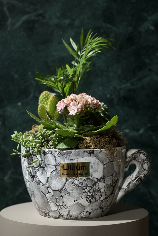 CupGarden Sukulent ve Minik Saksı Bitkisi