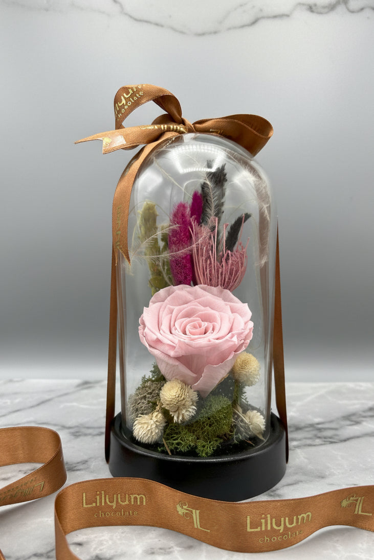Forever Powder Pink Solmayan Gül Serisi