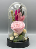 Forever Powder Pink Solmayan Gül Serisi