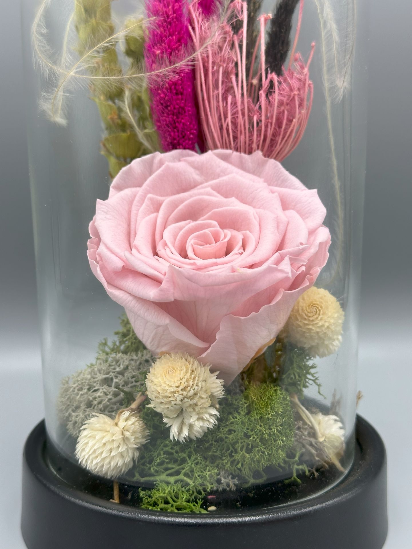 Forever Powder Pink Solmayan Gül Serisi