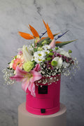 Starliçe Çikolatalı Pembe Flowerbox