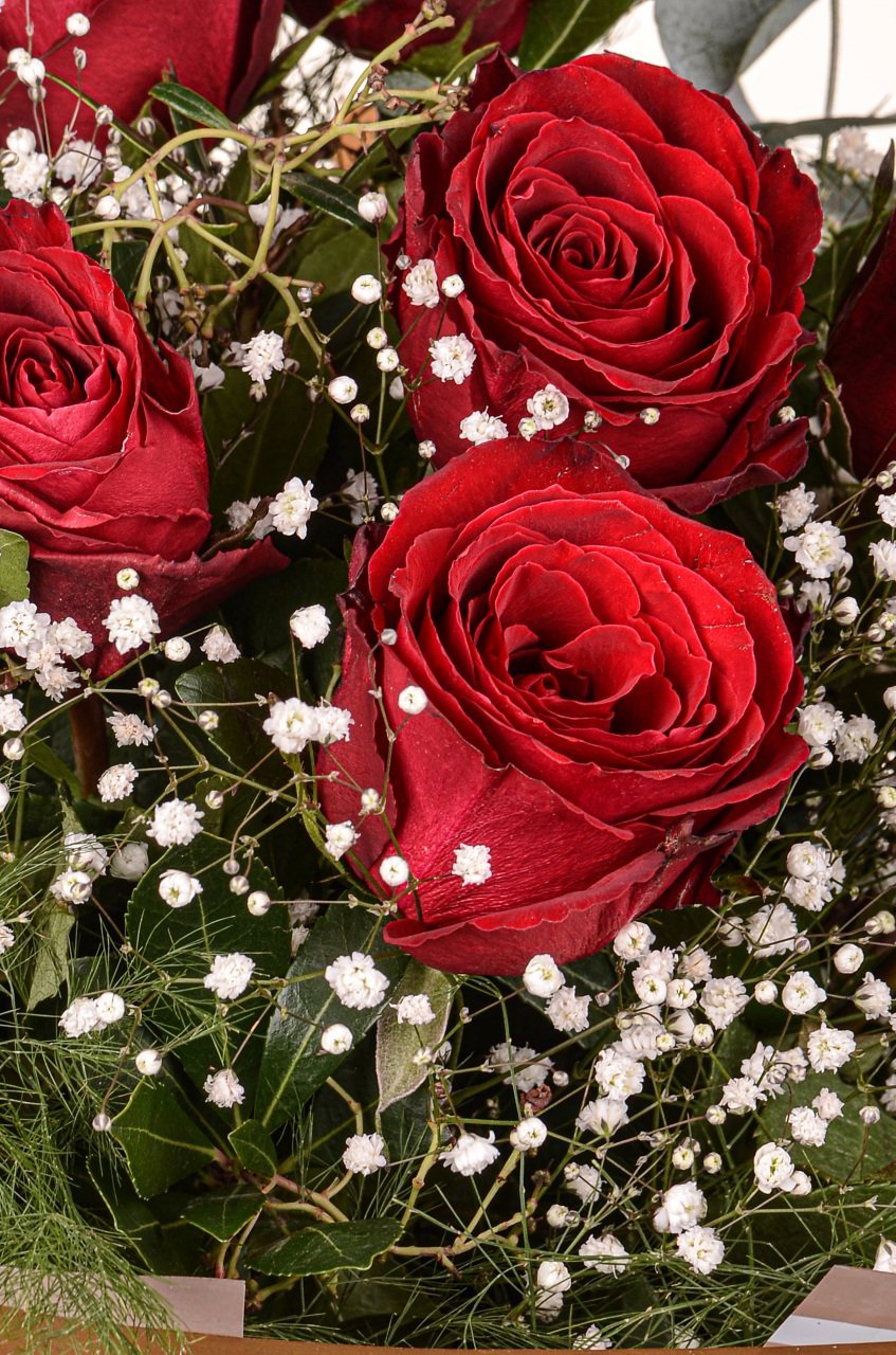 Valentines Kırmızı Gül 7'li Buket