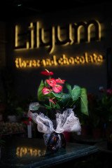 Antoryum - Flamingo Çiçeği