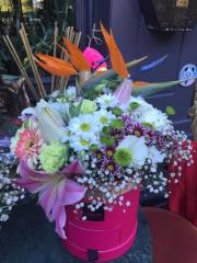 Starliçe (Çikolatalı) Pink Flowerbox