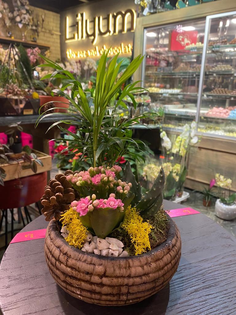 Barok Serisi Hasır Eskitme Skulent Tasarım