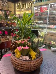 Barok Serisi Hasır Eskitme Skulent Tasarım