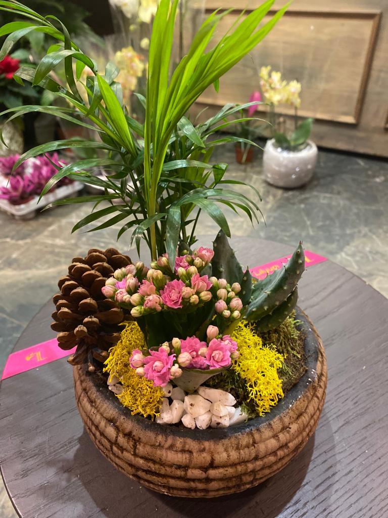 Barok Serisi Hasır Eskitme Skulent Tasarım