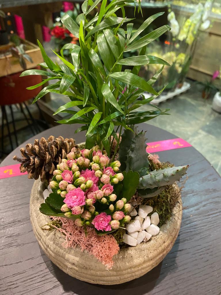 Barok Serisi Taş Eskitme Skulent Tasarım