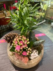 Barok Serisi Taş Eskitme Skulent Tasarım