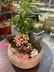 Barok Serisi Taş Eskitme Skulent Tasarım