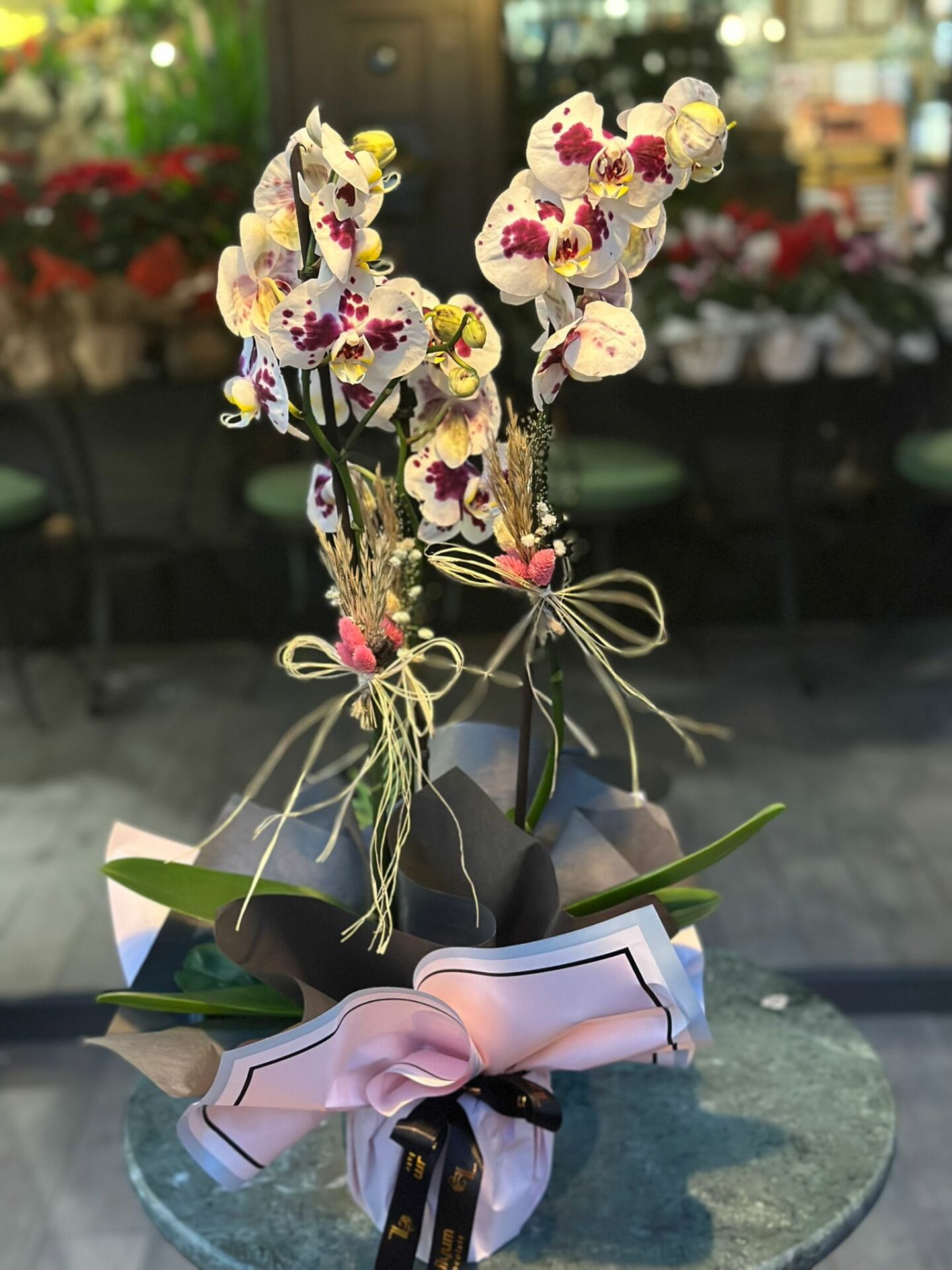 Çift Dal Benekli Orkide Çiçeği