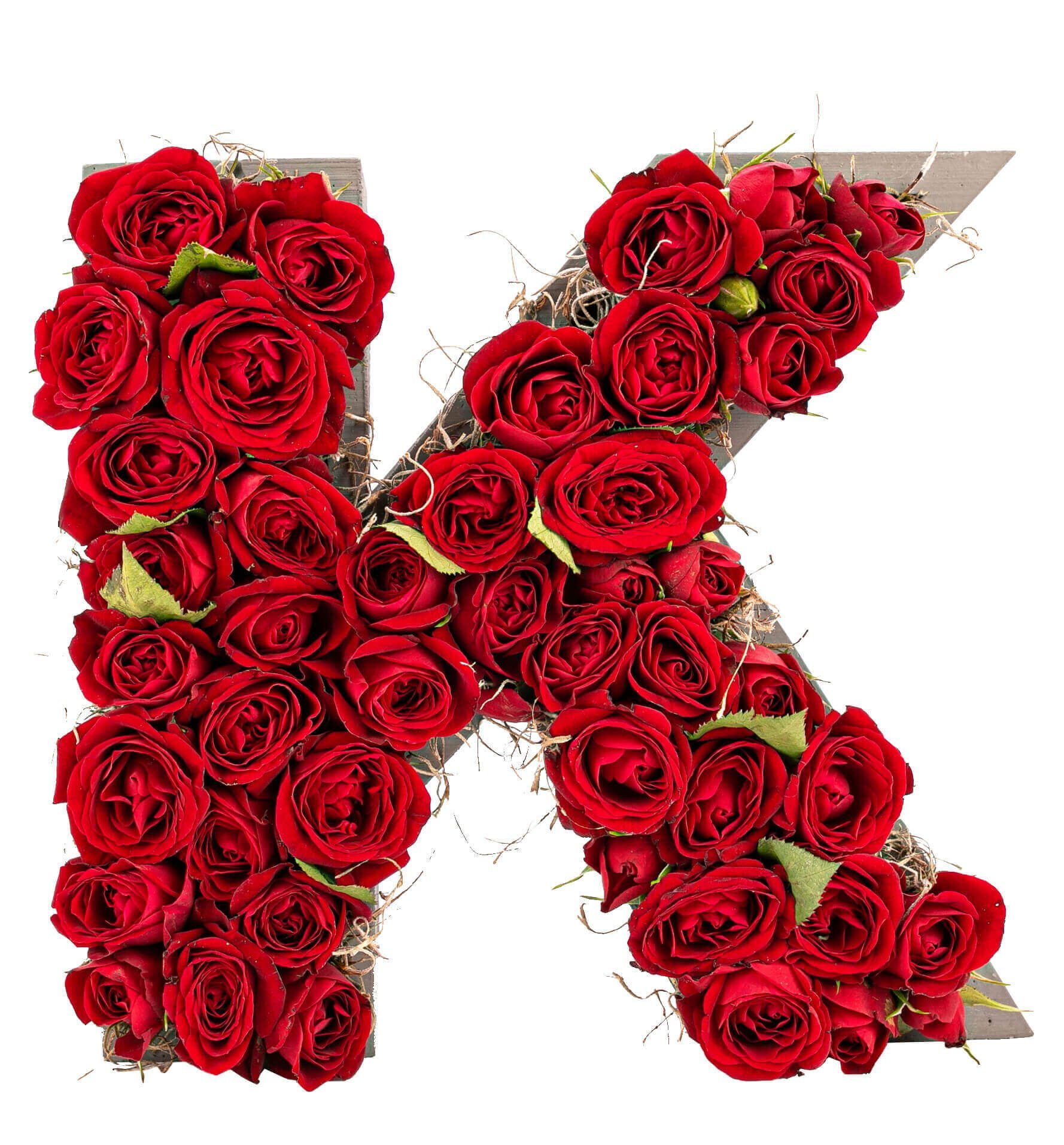 Kişiye Özel Harf Saksıda Mini Gül Tasarım