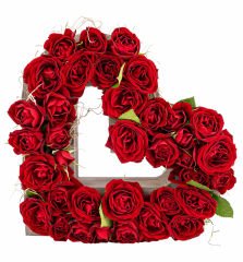 Kalp Saksıda İthal Mini Gül Tasarım