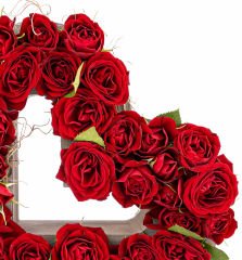 Kalp Saksıda İthal Mini Gül Tasarım