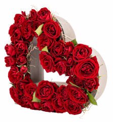 Kalp Saksıda İthal Mini Gül Tasarım