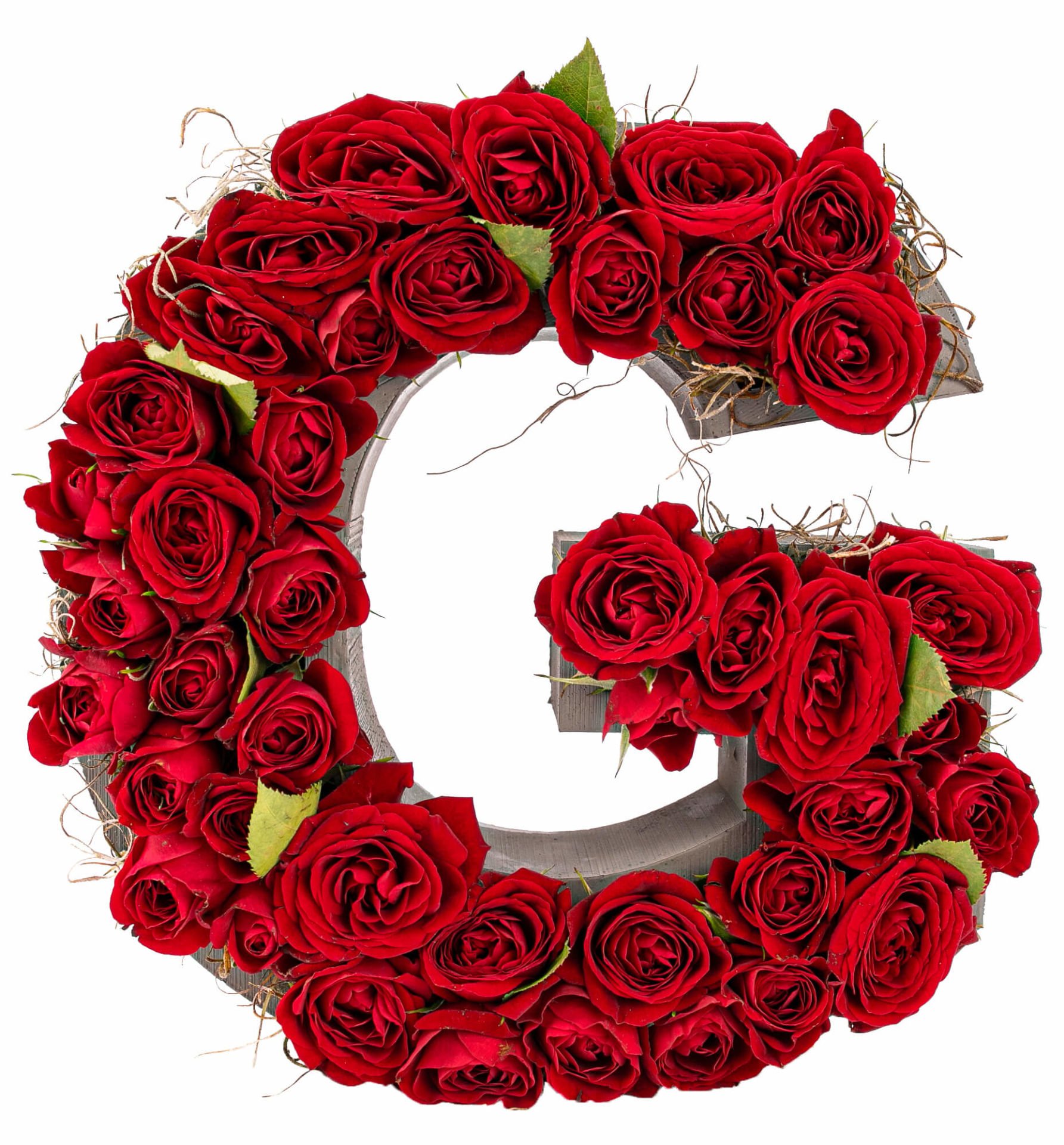 Kişiye Özel Harfler ve Kalp Saksıda Sen ve Ben Mini İthal Gül Tasarım