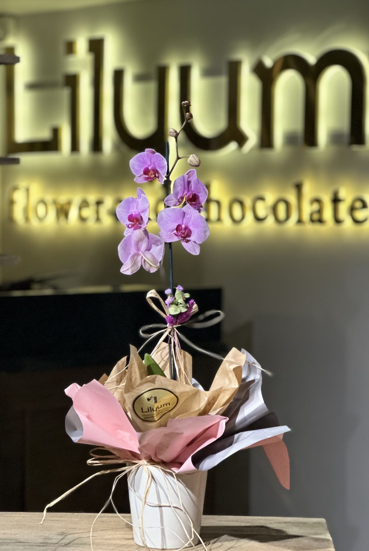 Tek Dal Pembe Orkide