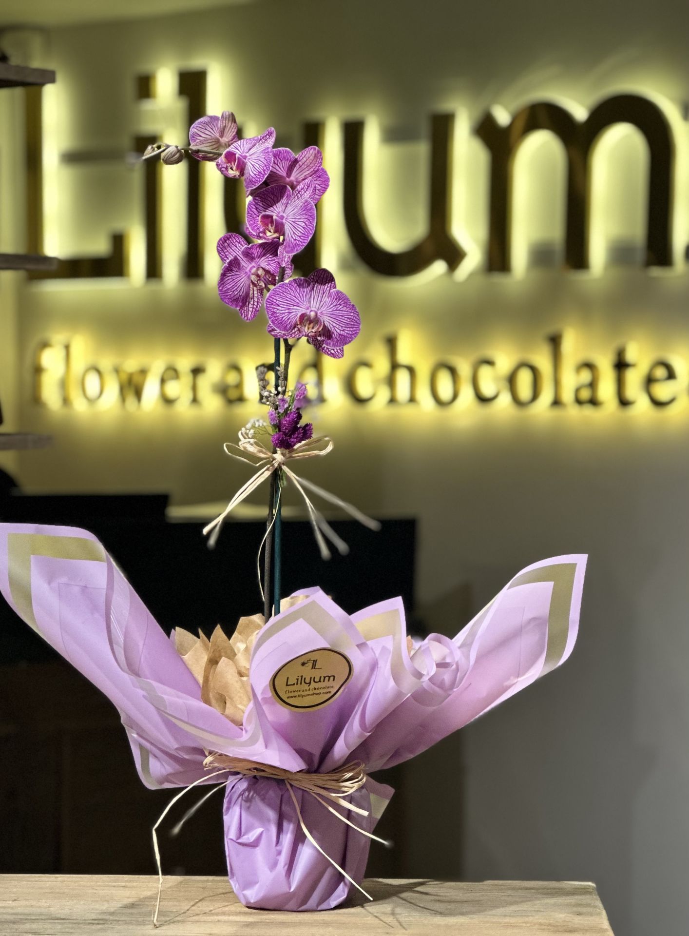 Tek Dal Çizgili Pembe Orkide