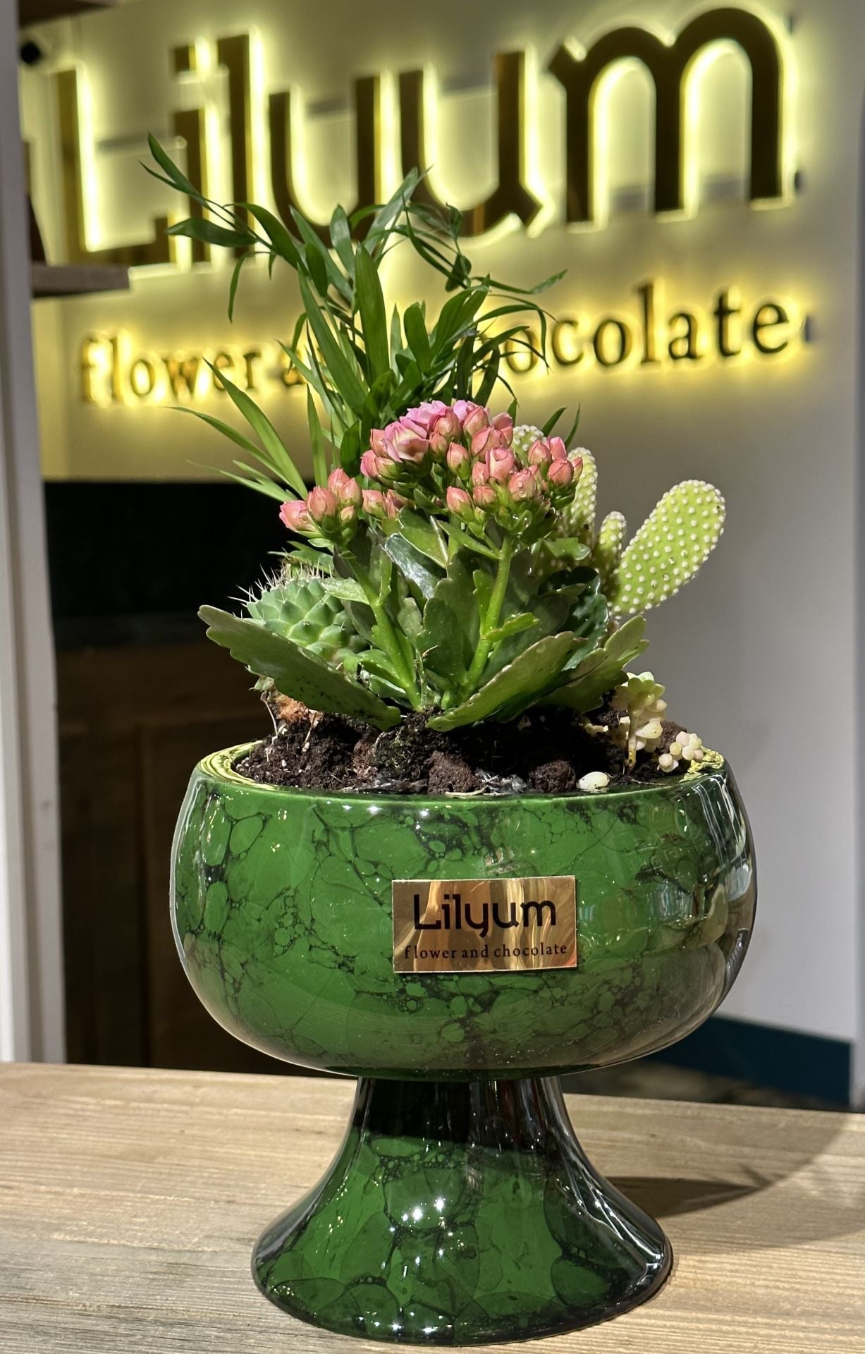 Kupa Saksıda Bitki Arajman