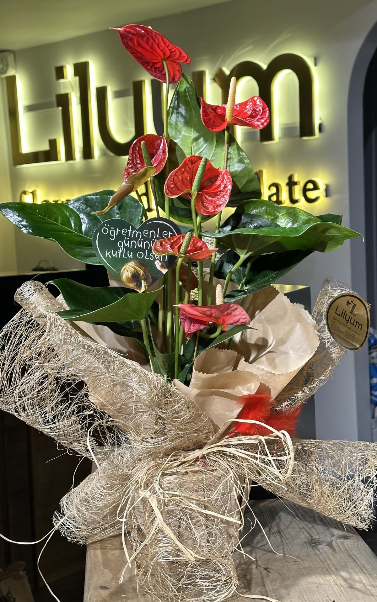 Antoryum -Flamingo Çiçeği