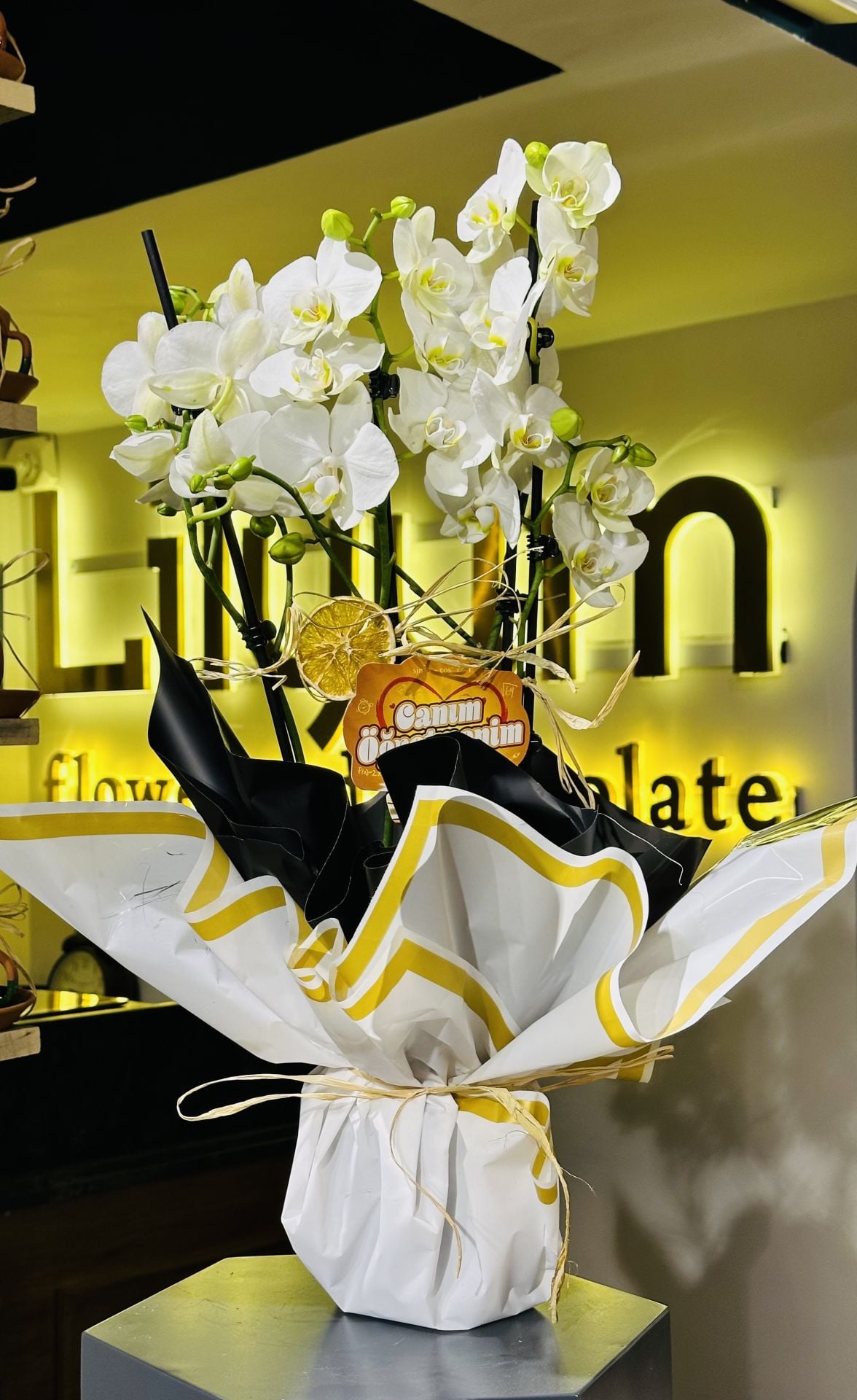 Üç Dal Beyaz Orkide Tasarım