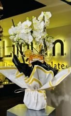 Üç Dal Beyaz Orkide Tasarım