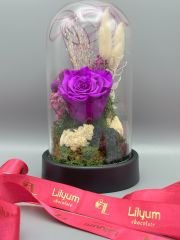 Forever Purple Solmayan Gül Serisi