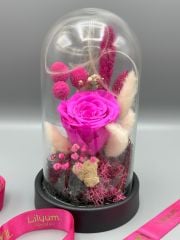 Forever Pink Solmayan Gül Serisi