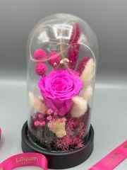 Forever Pink Solmayan Gül Serisi