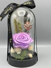 Forever Lilac Solmayan Gül Serisi