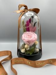 Forever Powder Pink Solmayan Gül Serisi