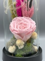 Forever Powder Pink Solmayan Gül Serisi