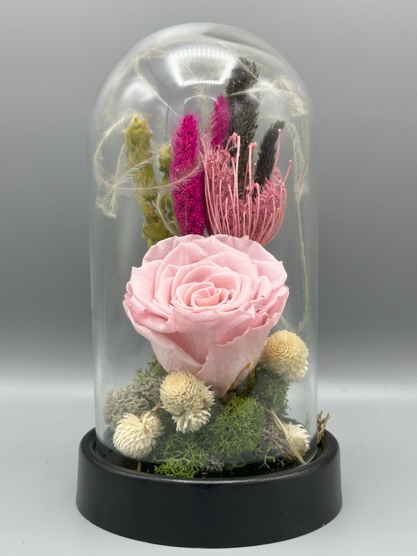 Forever Powder Pink Solmayan Gül Serisi