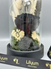 Forever Black Solmayan Gül Serisi