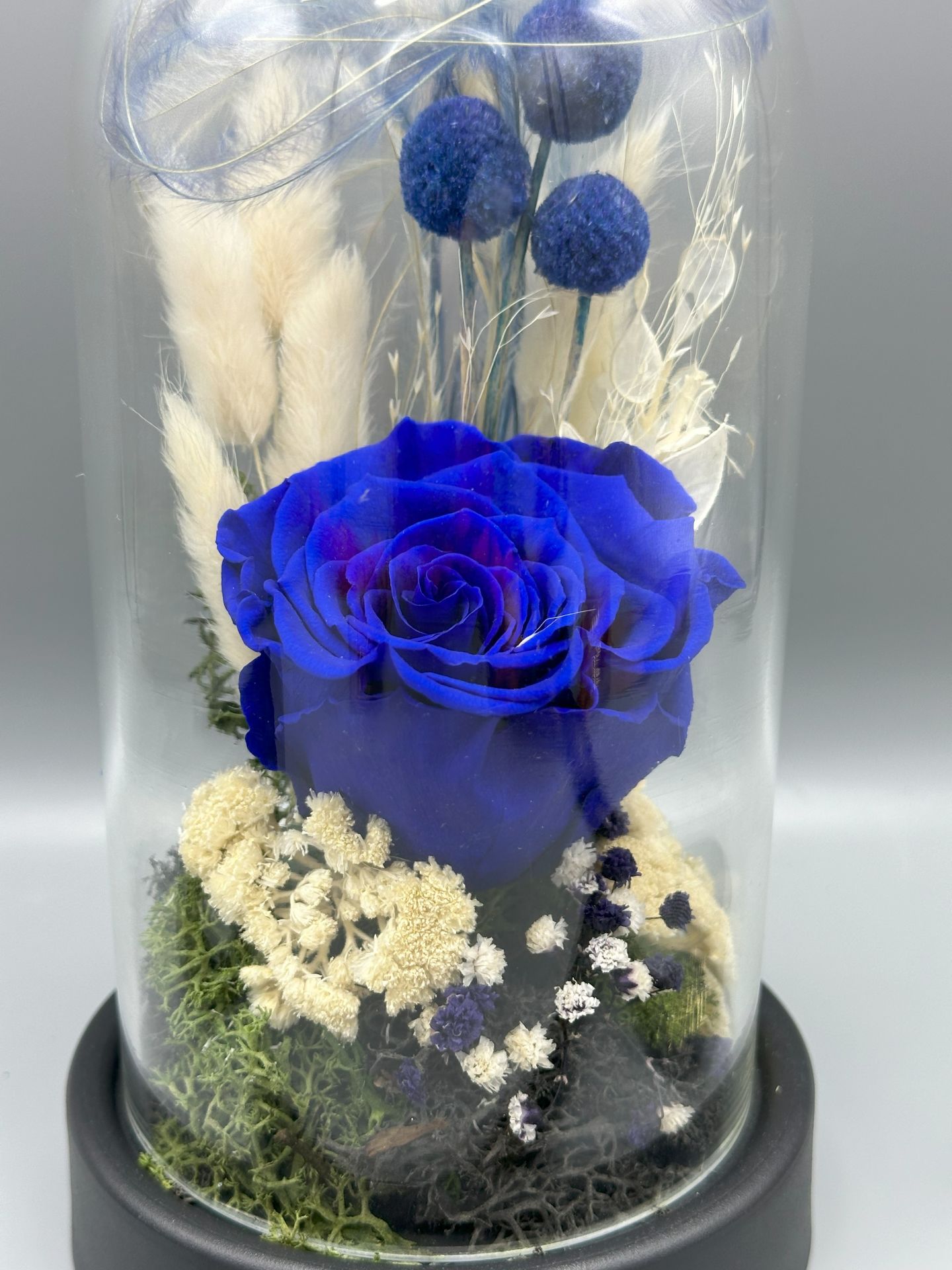 Forever Blue Solmayan Gül Serisi