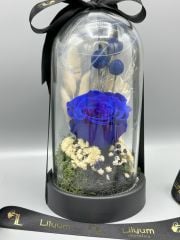 Forever Blue Solmayan Gül Serisi