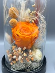 Forever Orange Solmayan Gül Serisi