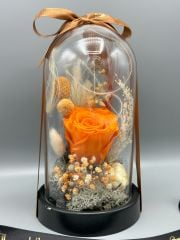 Forever Orange Solmayan Gül Serisi