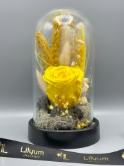 Forever Yellow Solmayan Gül Serisi