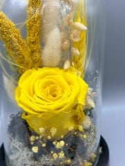 Forever Yellow Solmayan Gül Serisi