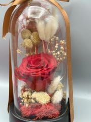 Forever Red Solmayan Gül Serisi