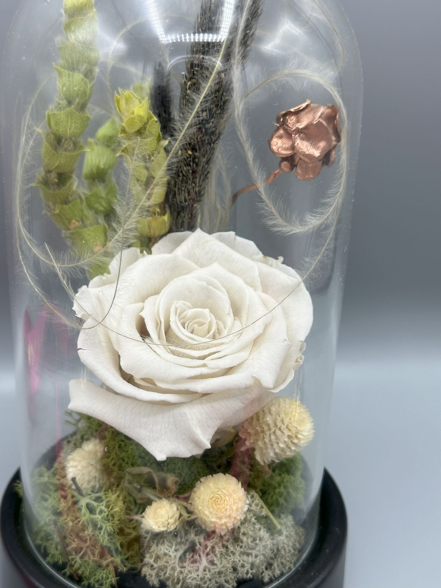 Forever White Solmayan Gül Serisi