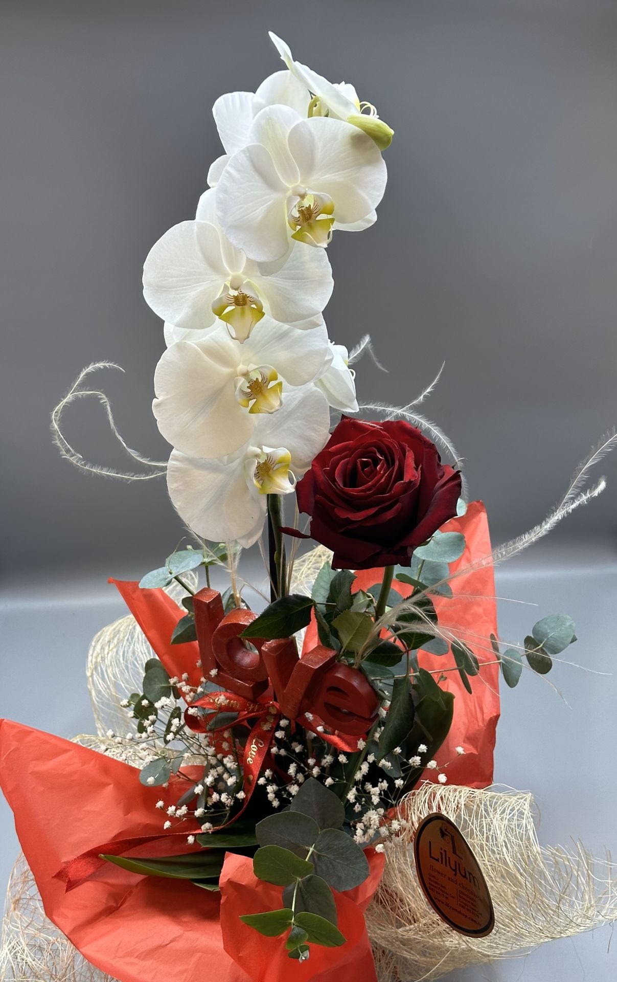 Saksıda Beyaz Orkide Tasarım