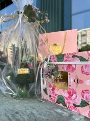 Kupa Saksıda Bitki Aranjman ve Çikolata Seti