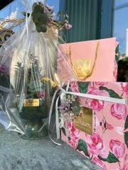 Kupa Saksıda Bitki Aranjman ve Çikolata Seti