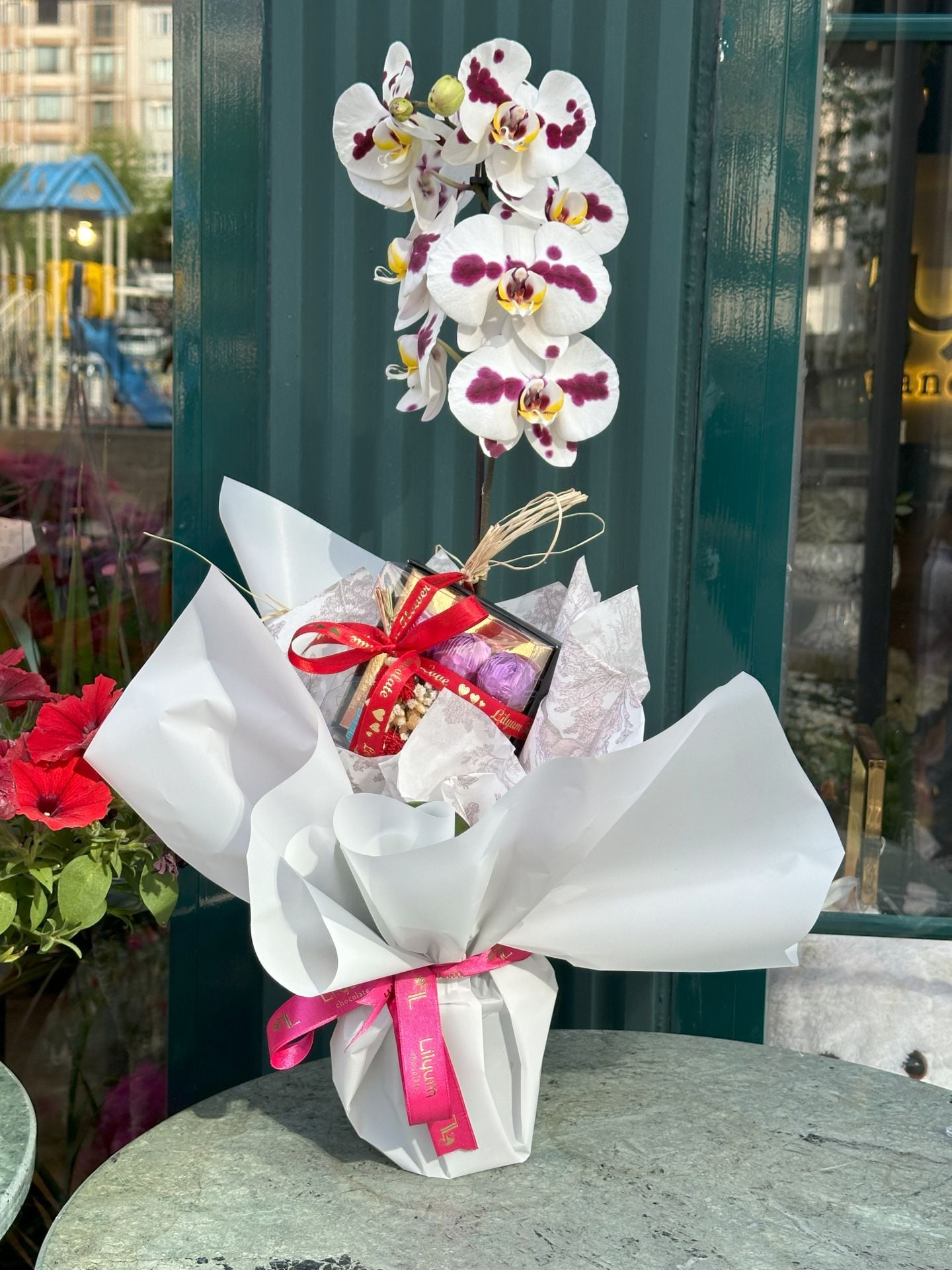 Benekli Orkide + Mini Hediyelik Çikolata