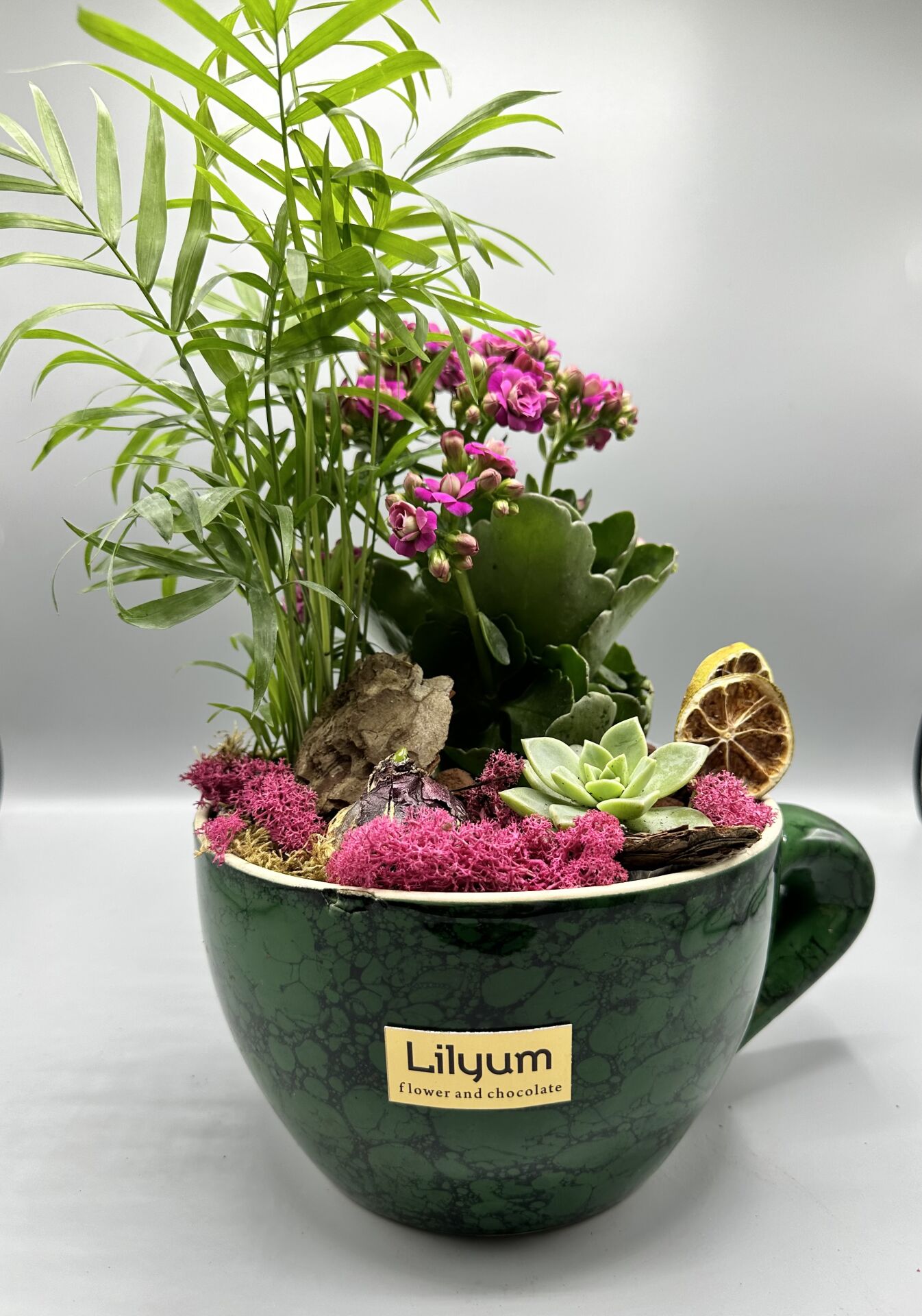 CUP GARDEN-YEŞİL GRANİT GÖRÜNÜMLÜ SERAMİK SAKSIDA BİTKİ ARAJMANI